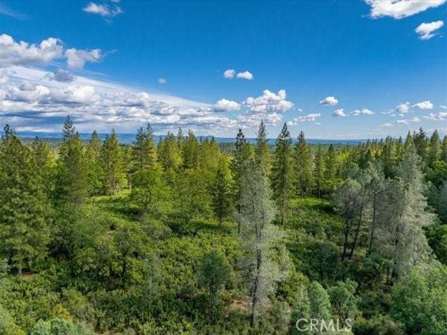 0 Backbone, Shasta, CA 96008