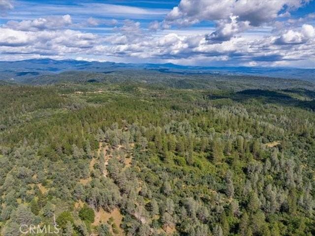0 Backbone, Shasta, CA 96008
