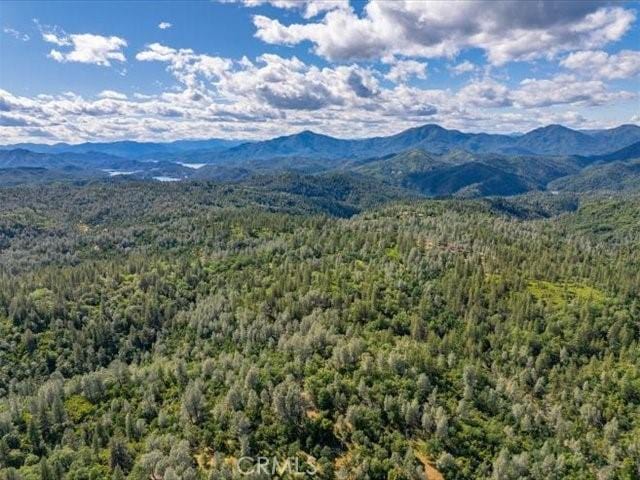 0 Backbone, Shasta, CA 96008