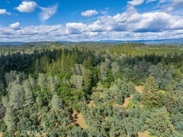 0 Backbone, Shasta, CA 96008