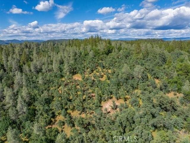 0 Backbone, Shasta, CA 96008