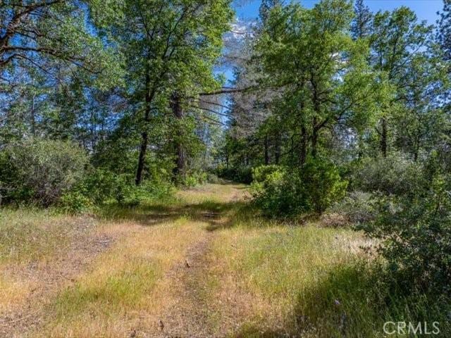 0 Backbone, Shasta, CA 96008