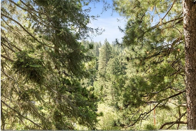 350 S Fairway Dr, Lake Arrowhead, CA 92352 - view of tree filled area