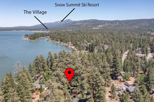 161 Round Dr, Big Bear Lake, CA 92315 - photo 64