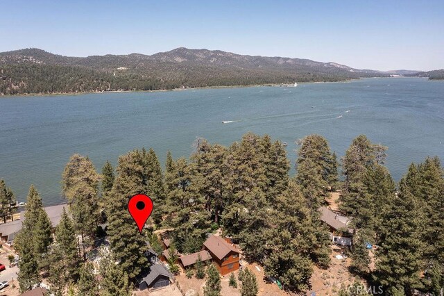 161 Round Dr, Big Bear Lake, CA 92315 - photo 59