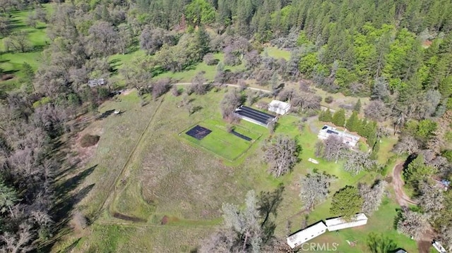 13001 Yuba Nevada Rd, Dobbins, CA 95935 - aerial view of a forest