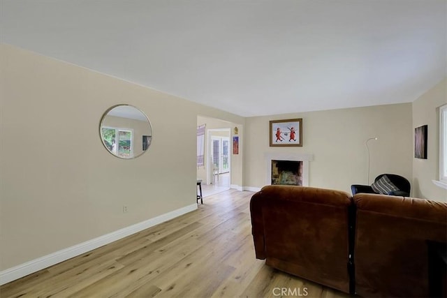 13001 Yuba Nevada Rd, Dobbins, CA 95935 - living room featuring light wood-style flooring, a fireplace, and plenty of natural light