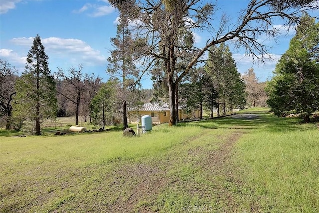 13001 Yuba Nevada Rd, Dobbins, CA 95935 - view of grassy yard