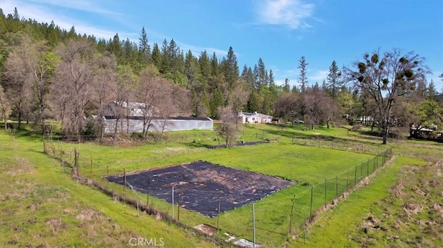 13001 Yuba Nevada Rd, Dobbins, CA 95935 - view of yard