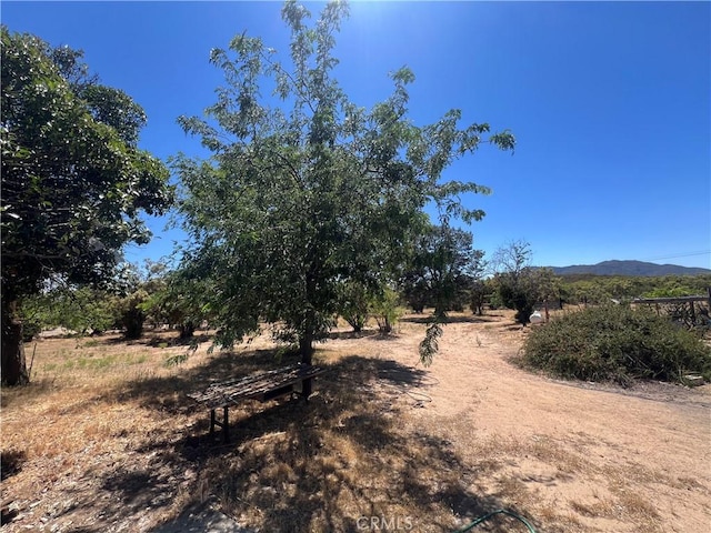 54279 Bautista Canyond Rd, Anza, CA 92539 - view of yard with a view of countryside and a mountain view