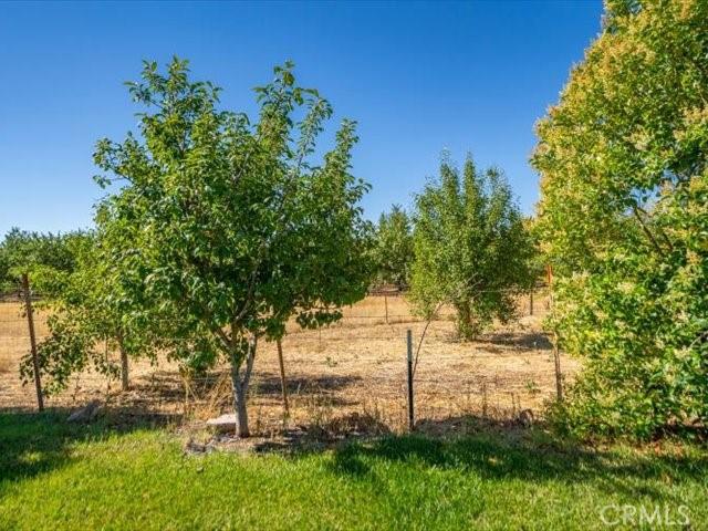 22709 Rodeo, Gerber, CA 96035 - photo 28