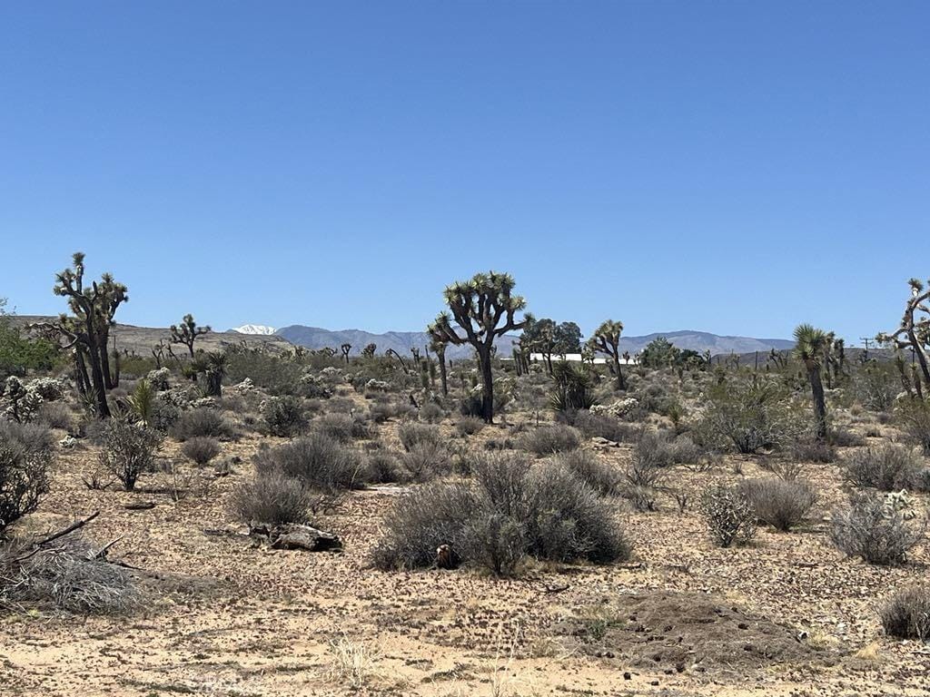 171 Yucca Mesa Rd, Landers, CA 92285