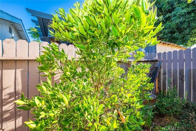 8219 Crockett Blvd, Los Angeles, CA 90001 - photo 16