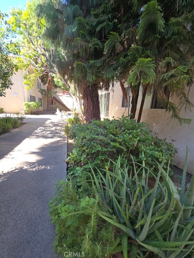 21000 Parthenia St Unit 6, Canoga Park, CA 91304 - view of side of property with stucco siding