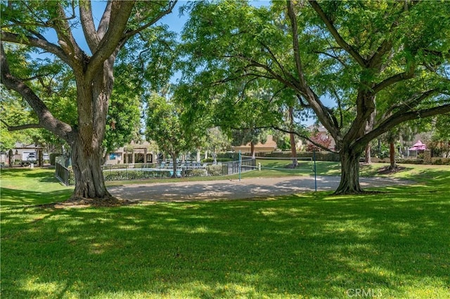 10 Eastmont, Irvine, CA 92604 - view of grassy yard with volleyball court