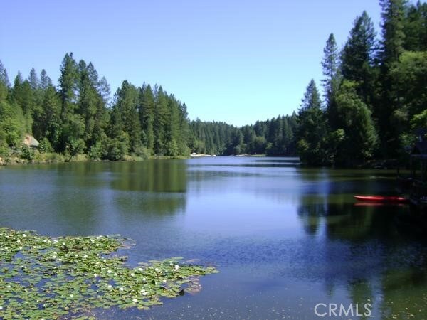 11 Forest Inn Dr, Berry Creek, CA 95916 - photo 20