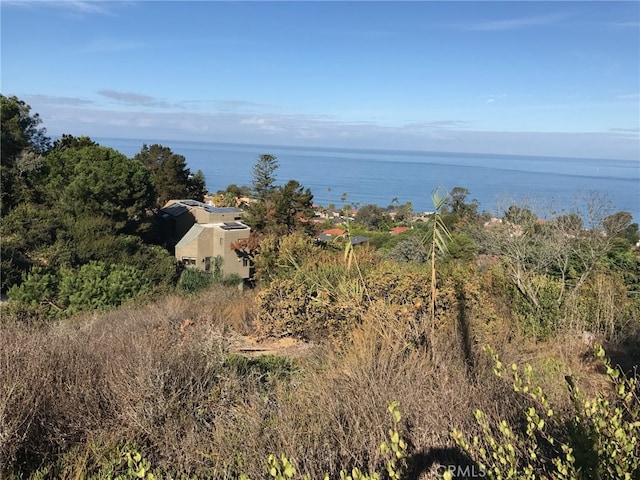 7530 Hillside Dr, La Jolla, CA 92037 - photo 5