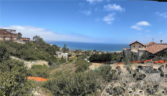 7530 Hillside Dr, La Jolla, CA 92037 - photo 6