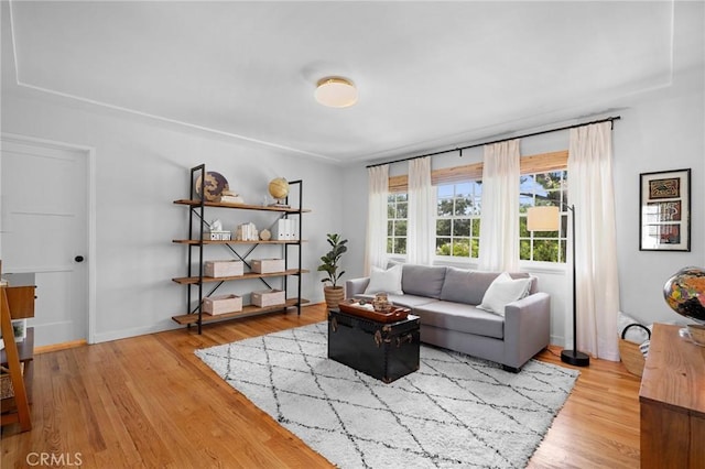 537 E Maple St Unit 3, Glendale, CA 91205 - living room featuring light wood-style flooring and baseboards