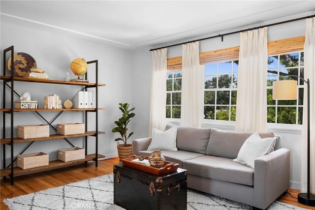 537 E Maple St Unit 3, Glendale, CA 91205 - living area featuring plenty of natural light and wood finished floors