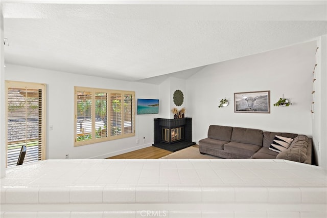 990 La Paz Rd Unit 49, Placentia, CA 92870 - bedroom featuring wood finished floors, a textured ceiling, and a multi sided fireplace