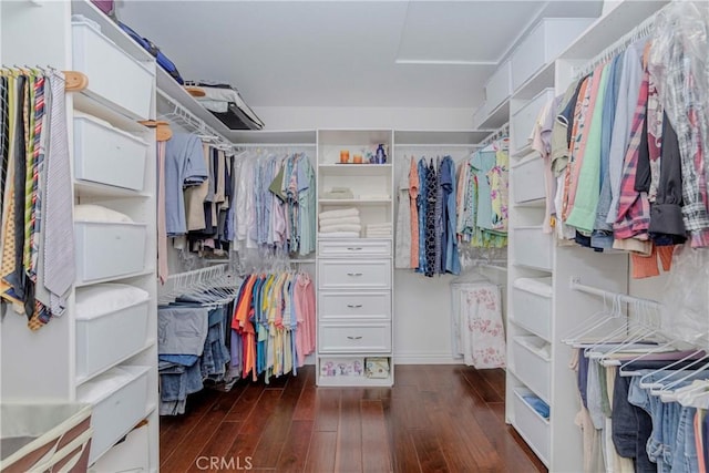 6242 E Inverness Pl, Orange, CA 92869 - walk in closet with wood-type flooring and attic access
