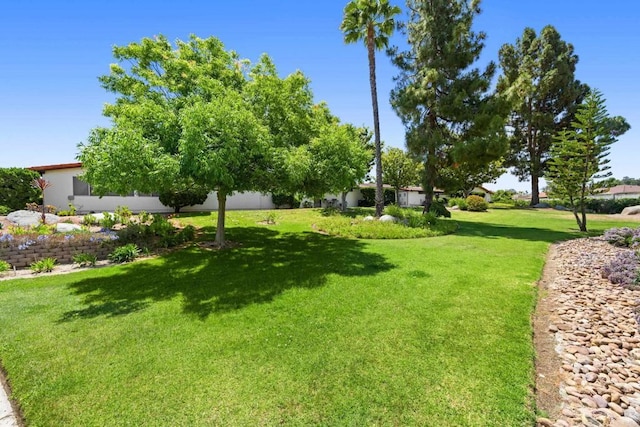 16566 Caminito Vecinos Unit 31, San Diego, CA 92128 - view of grassy yard