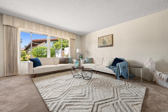 16566 Caminito Vecinos Unit 31, San Diego, CA 92128 - living area with carpet and a textured ceiling