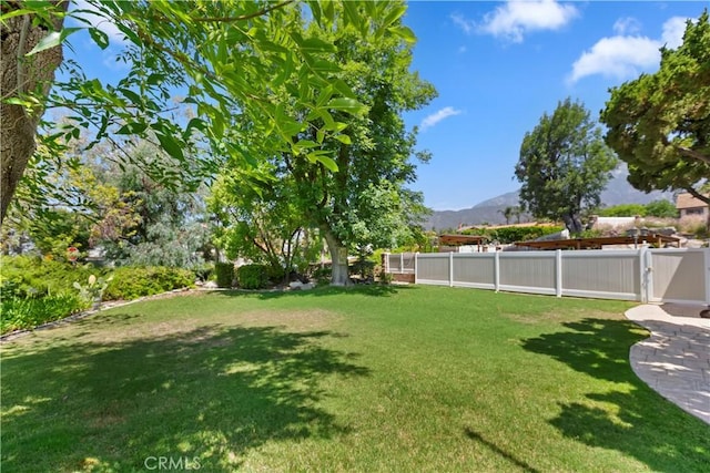 8100 Sunflower Ave, Rancho Cucamonga, CA 91701 - photo 9