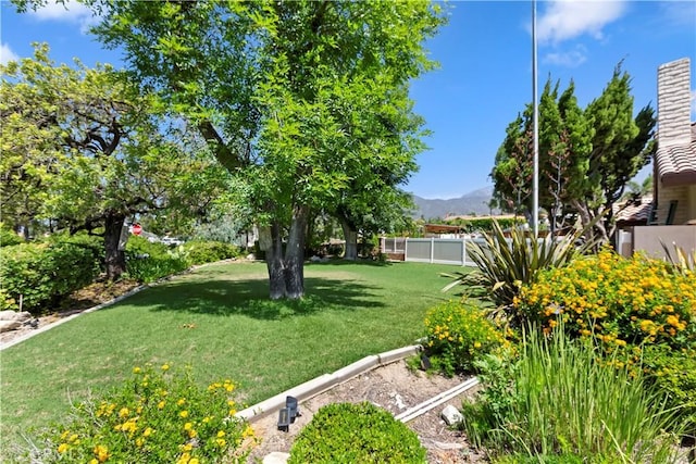8100 Sunflower Ave, Rancho Cucamonga, CA 91701 - photo 7