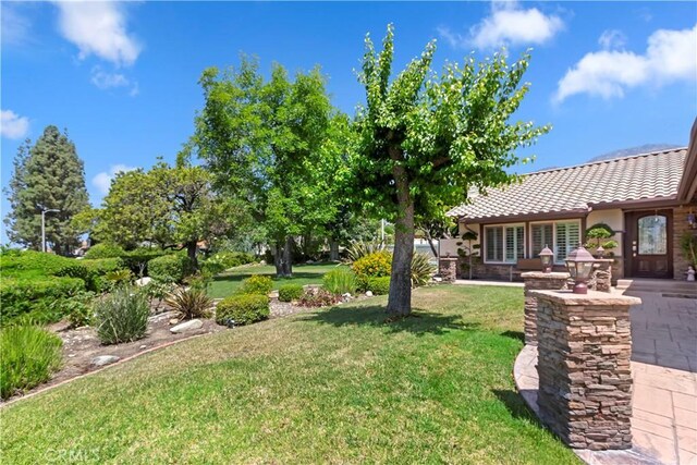 8100 Sunflower Ave, Rancho Cucamonga, CA 91701 - photo 6