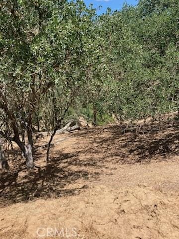 2668 Pine Ridge Rd, Bradley, CA 93426 - photo 2