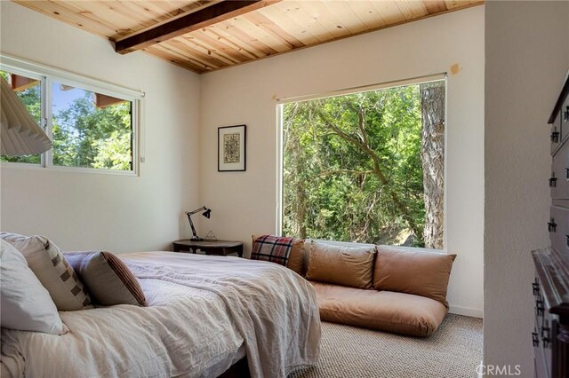 779 Fern Rd, Lake Arrowhead, CA 92385 - photo 22