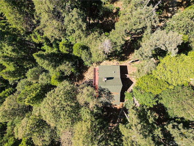 779 Fern Rd, Lake Arrowhead, CA 92385 - photo 3