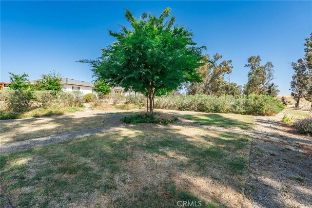 12194 N Armstrong Ave, Clovis, CA 93619 - photo 63