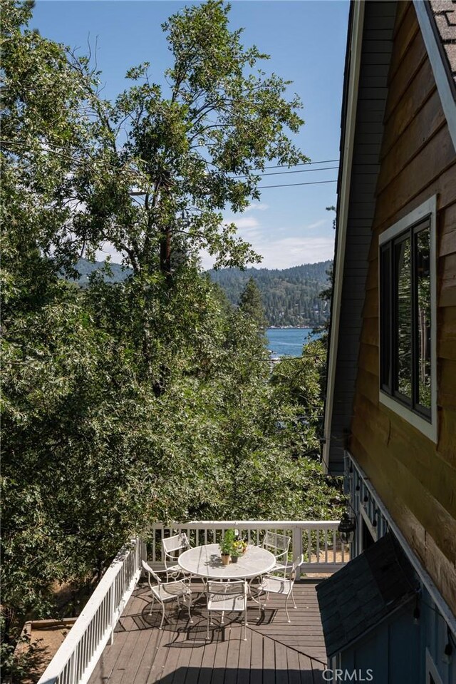 28819 N Shore Rd, Lake Arrowhead, CA 92352 - photo 29