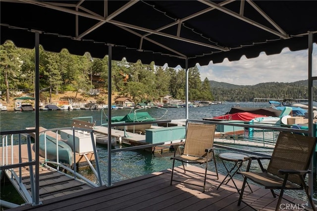 28819 N Shore Rd, Lake Arrowhead, CA 92352 - photo 38