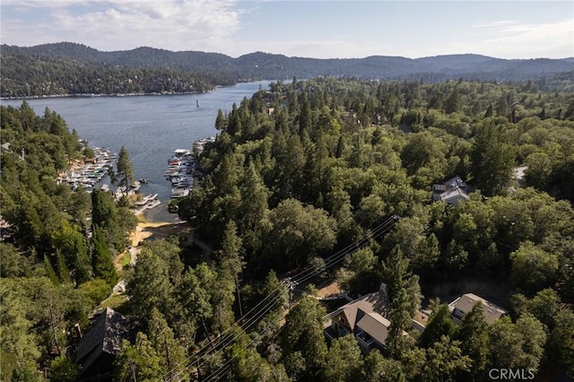 28819 N Shore Rd, Lake Arrowhead, CA 92352 - photo 43