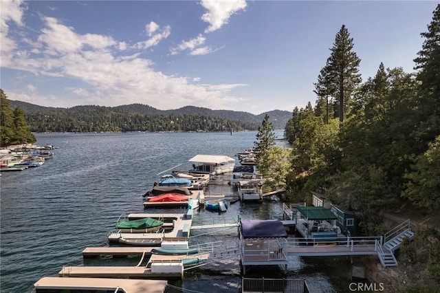 28819 N Shore Rd, Lake Arrowhead, CA 92352 - photo 41