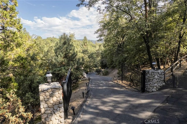 28819 N Shore Rd, Lake Arrowhead, CA 92352 - photo 44