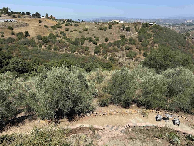3018 Red Mountain Heights Rd, Fallbrook, CA 92028 - photo 2