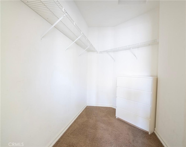 100 Stoney, Laguna Niguel, CA 92677 - walk in closet featuring carpet