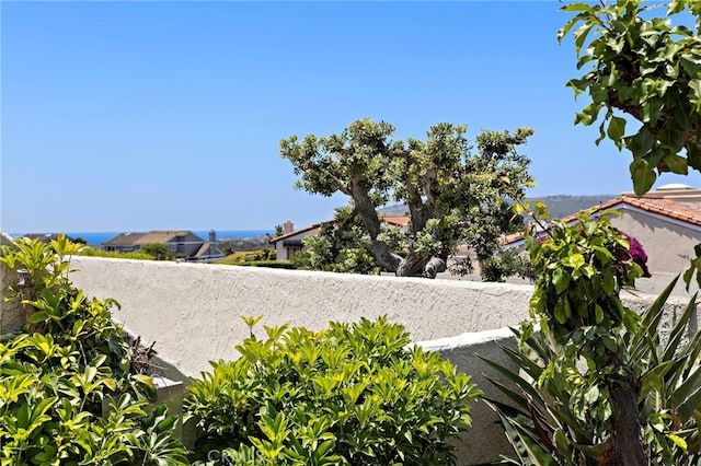 24191 Vis D Oro, Dana Point, CA 92629 - view of yard