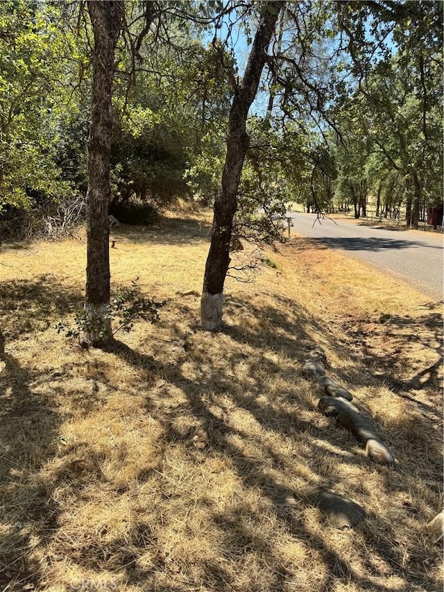 322 Lausen, Oroville, CA 95966 - photo 1
