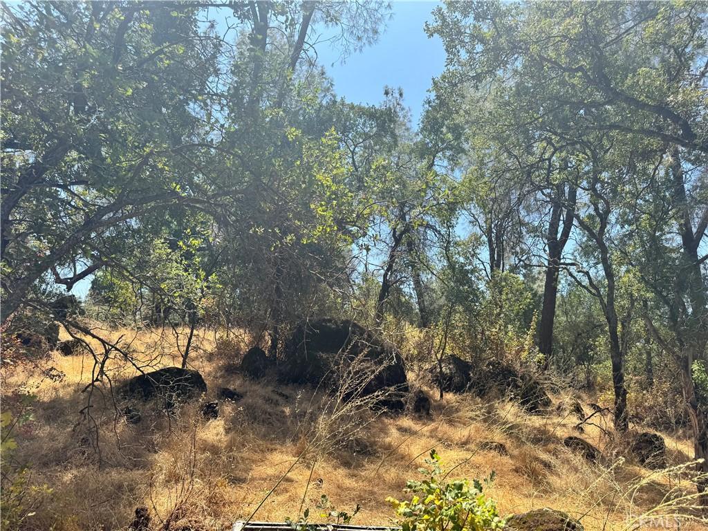 322 Lausen, Oroville, CA 95966 - photo 3
