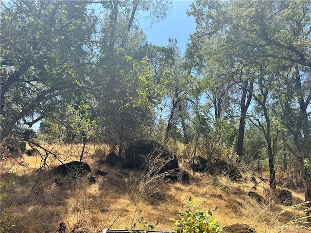322 Lausen, Oroville, CA 95966 - photo 3