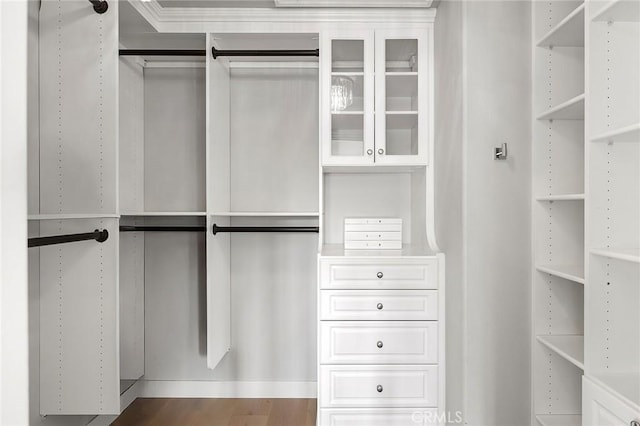 2534 Bungalow Pl Unit 87, Corona Del Mar, CA 92625 - spacious closet featuring wood finished floors
