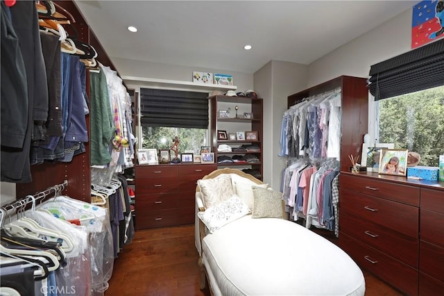 23640 Aster Trl, Calabasas, CA 91302 - spacious closet featuring dark wood-style flooring