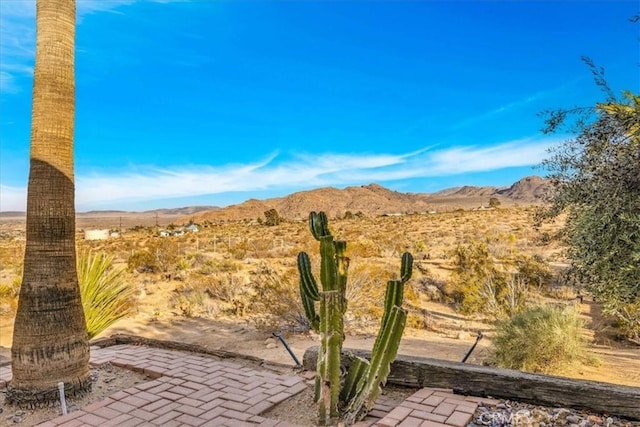 7423 Juniper Rd, Joshua Tree, CA 92252 - view of mountain background