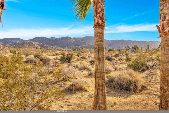 7423 Juniper Rd, Joshua Tree, CA 92252 - mountain view